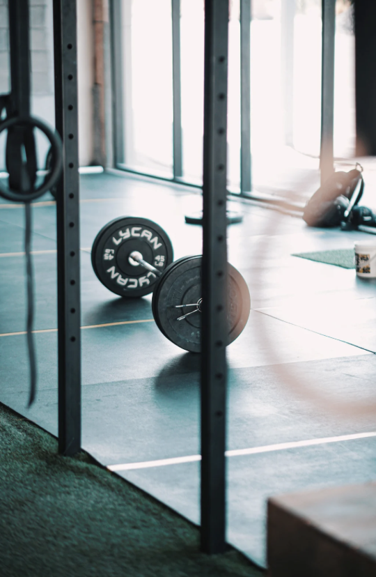 coach musculation en ligne